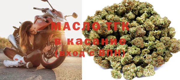 хмурый Туринск