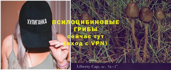 спайс Горнозаводск