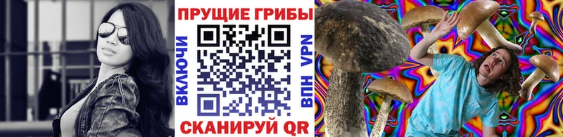 Галлюциногенные грибы ЛСД Зверево